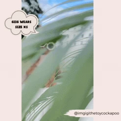 Nude Chic Leopard Adjustable Neck Harness -Cocopup London 2023Cocopupwebsitepics 9