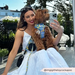 Dog Walking Bag Bundle - Amalfi Lemon 25 Dog Walking Bag Bundle - Amalfi Lemon -Cocopup London 2023 Cocopup website pics 1