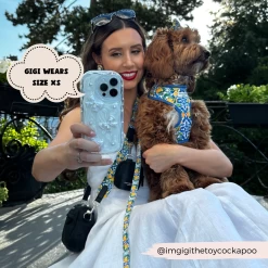 Amalfi Lemon Lead -Cocopup London 2023 Cocopup website pics 1