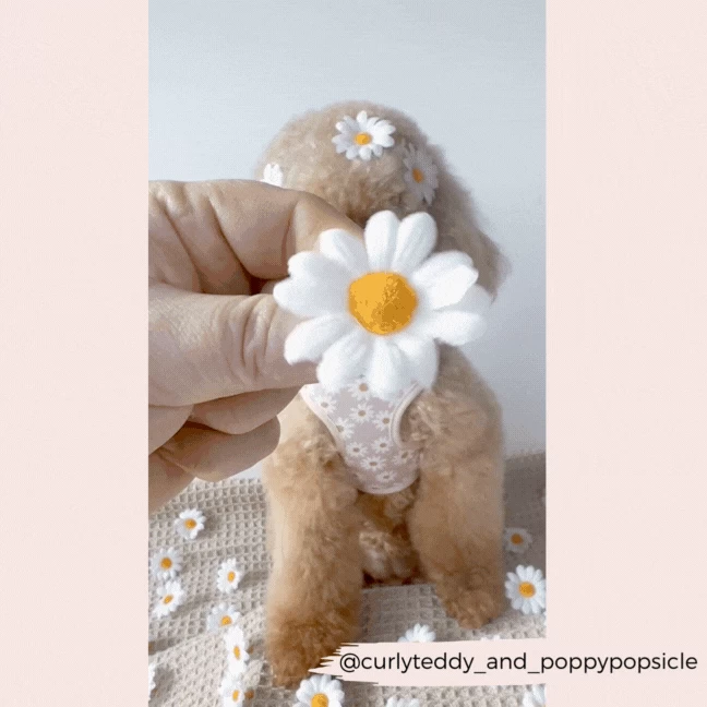 Daisy Chain Adjustable Neck Harness, Lead & Collar Bundle 20 Daisy Chain Adjustable Neck Harness, Lead & Collar Bundle - Image 18