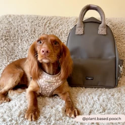 Dog Walking Bag - Teddy Dolly 28 Dog Walking Bag - Teddy Dolly -Cocopup London 2024Cocopupwebsitepics 3
