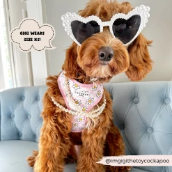 Daisy Gingham Rave Adjustable Neck Harness -Cocopup London 2024Cocopupwebsitepics 6