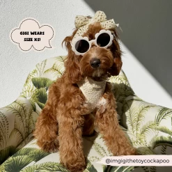 Festival Crochet Adjustable Neck Harness, Lead & Collar Bundle -Cocopup London 2024Cocopupwebsitepics 7 e332d244 5a5a 4bdf bcd0 48480c538f53