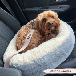 Seat Belt Restraint - Plain Nude -Cocopup London 2024Cocopupwebsitepics 9