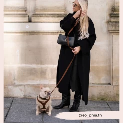 Brown Aviator Adjustable Neck Harness, Lead & Collar Bundle -Cocopup London 2024Cocopupwebsitepics b20cda46 7a2c 4ded 97dc d4159968ae9d