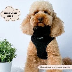 Teddy Adjustable Neck Harness - Baloo -Cocopup London 20 33a30559 5707 4ebe b934 25f7d4bae329