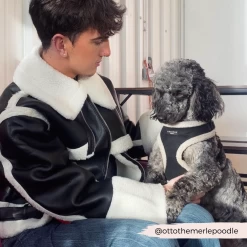 Black Aviator Adjustable Neck Harness -Cocopup London 21 06afd108 c700 4afc b560 85753a2be953