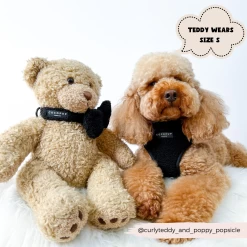 Teddy Baloo Adjustable Neck Harness, Lead & Collar Bundle -Cocopup London 21 47585fb6 526c 4729 8c20 a1aa3a7923e5