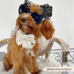 Teddy Sailor Bow Tie - Dolly -Cocopup London 22 38ea99fd aa81 4a5c 8dc1 ea7ed78b1c44