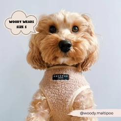 Teddy Adjustable Neck Harness - Rupert -Cocopup London 22 98dcf692 3256 4dee bd70 833d9a5a7eb2