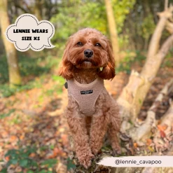 Teddy Adjustable Neck Harness - Rupert -Cocopup London 24 dc79becf a16e 4679 a503 3a3a919b87e6