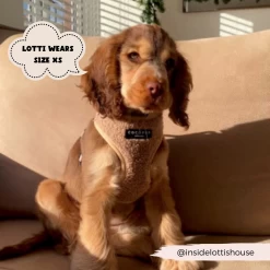 Teddy Adjustable Neck Harness - Rupert -Cocopup London 25 7df6b129 1e91 4588 bb9e 9aa09a16c033