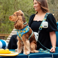 Dog Walking Bag Bundle - Amalfi Lemon 22 Dog Walking Bag Bundle - Amalfi Lemon -Cocopup London 26 075da900 9f7e 40b6 8e07 2f40c9481305 2