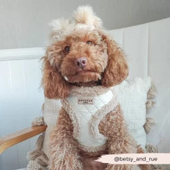 Quilted Adjustable Neck Harness, Lead & Collar Bundle -Cocopup London 26 3a0cd1da 1430 4d97 9259 8a670488383e