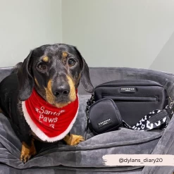 Dog Walking Black Bag Bundle - Black Leopard -Cocopup London 26 932a33a8 dc84 4662 9b32 4e552286c331