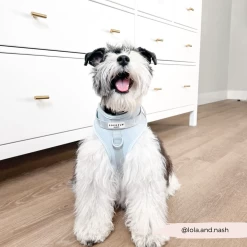 NAKD Adjustable Neck Harness - Bubblegum -Cocopup London 26 955fa779 c1b8 492f a92b 7ab8bd5e9cf1