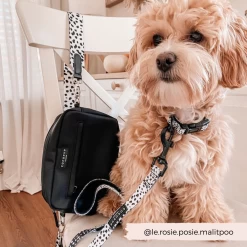 Monochrome Spots Lead 7 Monochrome Spots Lead -Cocopup London 26 c5a937ec a2ca 4993 9578 74bac6561fc9