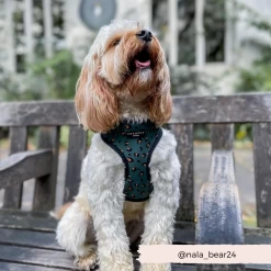 Khaki Leopard Adjustable Neck Harness, Lead & Collar Bundle -Cocopup London 27 339265d6 76eb 451b ab82 763e15be166b