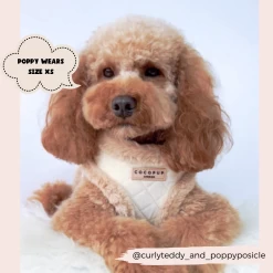 Quilted Adjustable Neck Harness, Lead & Collar Bundle -Cocopup London 27 94ca8eed a76d 489e a42a 7f3d9f02a950