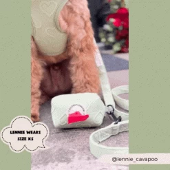 Luxe Adjustable Neck Harness - Sage Heart -Cocopup London 28 2910941c ee8e 4bc2 a654 ea5a54f9ce78