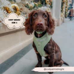 NAKD Adjustable Neck Harness - Matcha 37 NAKD Adjustable Neck Harness - Matcha -Cocopup London 28 525541df a66b 4a1c b807 58e83af8b4a5