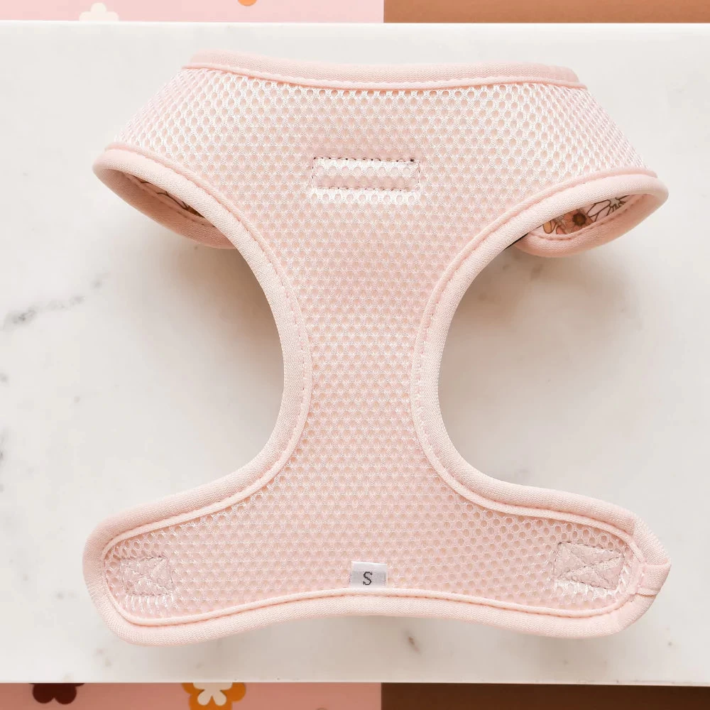 Groovy Florals Adjustable Neck Harness, Lead & Collar Bundle 5 Groovy Florals Adjustable Neck Harness, Lead & Collar Bundle - Image 3