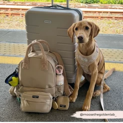 Rucksack - Caramel Latte -Cocopup London 2 299c76c6 04b6 4edf bc51 1fbe9185172a