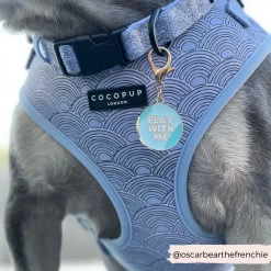 Dog Collar Charm - Play With Me 8 Dog Collar Charm - Play With Me -Cocopup London 2 2f5126d9 4da3 4152 9708 a8b54886a200