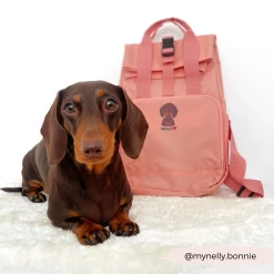 Cocopup X Syd & Co - Personalised Dog Backpack - 2 Colours Available -Cocopup London 2 433d4492 6947 44d4 afbf 2b303248a83a