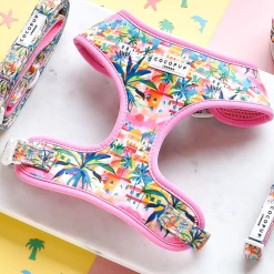 Portofino Pup Adjustable Neck Harness -Cocopup London 2 4585da61 e955 4bcc 9efc 1c209fe77f78