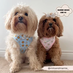 Daisy Gingham Rave Adjustable Neck Harness -Cocopup London 2 47924dad f05e 4479 bdf0 784542d3e9d5