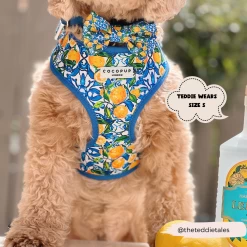 Amalfi Lemon Adjustable Neck Harness, Lead & Collar Bundle -Cocopup London 2 52bce41b e339 4603 b6a3 707257b07c92