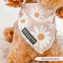 Daisy Chain Bandana -Cocopup London 2 7902ebd6 2173 4c81 ac33 4b8163c3e94a