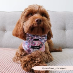 Pastel Flowers Bow Tie -Cocopup London 2 8103bab3 5a41 40e6 8e22 4476c3e2f30b