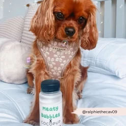 Cocopup X Meaty Bubbles - BBQ Chicken -Cocopup London 2 816c9fcf f3a8 4a72 9d38 14a13553da41