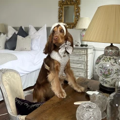 Luxe Garden Meadow Adjustable Neck Harness, Lead & Collar Bundle -Cocopup London 2 83d20d79 9e68 4c43 869e 0874ea48ab40