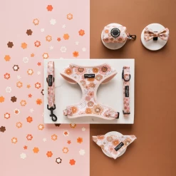 Groovy Florals Bow Tie -Cocopup London 2 8ccd91ef 05ed 4c0a b50c 45e3829a9174