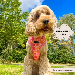 Summer Bloom Adjustable Neck Harness -Cocopup London 2 9212fb73 2ca2 4d4e b31e 8b3375b3efae