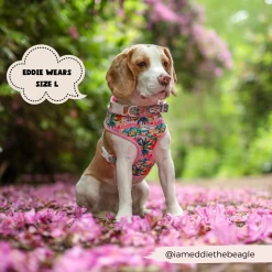 Portofino Pup Adjustable Neck Harness -Cocopup London 2 92ed883f ded2 4a9b 8549 12823f3a8b73 1