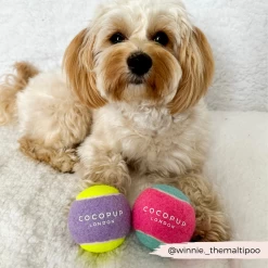 Tennis Ball - Lilac & Yellow 8 Tennis Ball - Lilac & Yellow -Cocopup London 2 975f287b 06c4 48d4 97ea d536b6ba501b