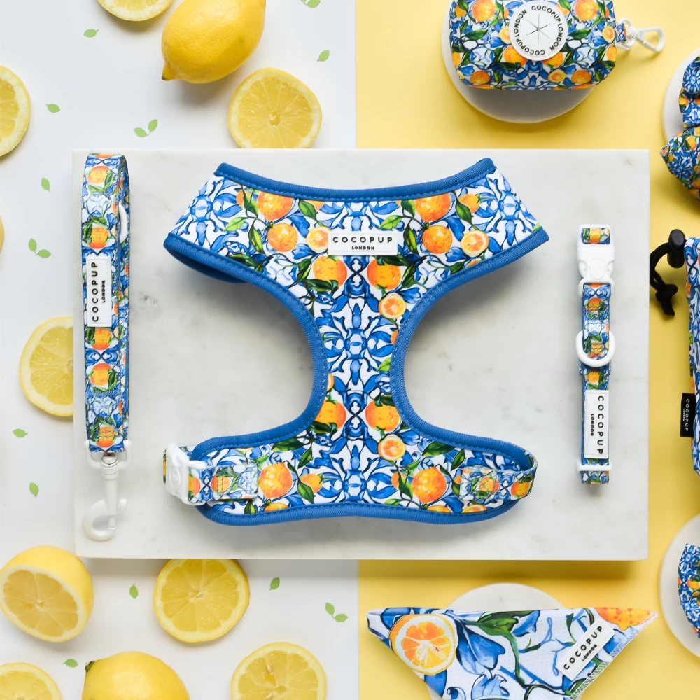 Amalfi Lemon Collar 5 Amalfi Lemon Collar - Image 3