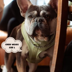 NAKD Adjustable Neck Harness - Matcha 32 NAKD Adjustable Neck Harness - Matcha -Cocopup London 2 ad163c9e ae6f 4ef2 94ed b4af53f50c6f