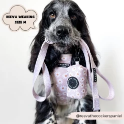 Daisy Chain Lead -Cocopup London 2 b5e031a7 f097 4c66 8b93 0f3c6a19ae4c