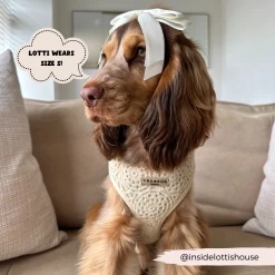 Festival Crochet Adjustable Neck Harness, Lead & Collar Bundle -Cocopup London 2 bd84f66d d011 414b afb5 49adbe5ca52a