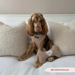 Teddy Rupert Bone Toy -Cocopup London 2 c165a9e5 3a44 4d46 881b d17711557874