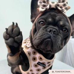 Sunflowers Bow Tie -Cocopup London 2 c2b5f950 959d 4979 b6c1 2d7351f85d20