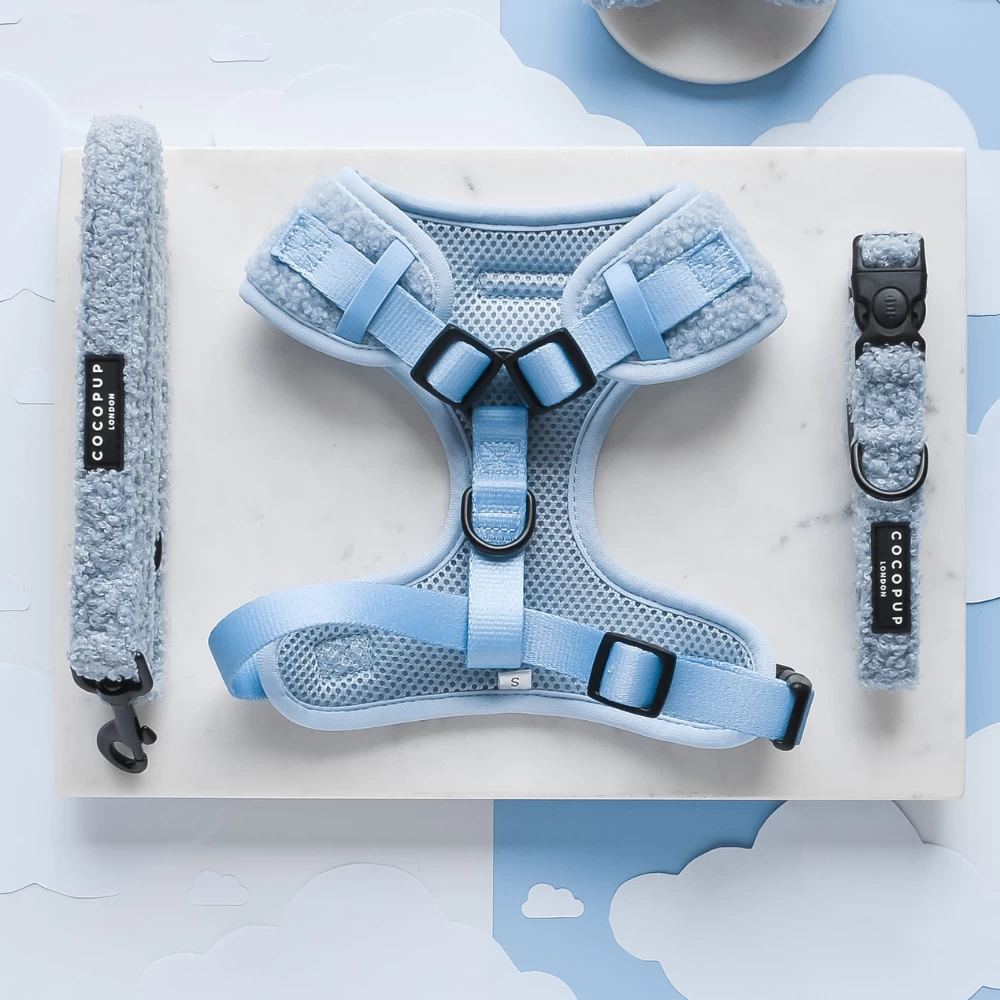 Teddy Daydream Adjustable Neck Harness, Lead & Collar Bundle 4 Teddy Daydream Adjustable Neck Harness, Lead & Collar Bundle - Image 2