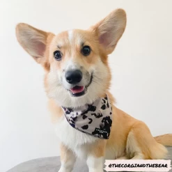 Ivory Tort Bandana -Cocopup London 2 dd358792 ac23 48f6 b61d 23a7a63393f4