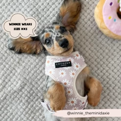 Daisy Chain Adjustable Neck Harness -Cocopup London 30 2d2e0dcd aa02 467f b5bc 120704a33fa0