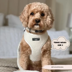 Teddy Adjustable Neck Harness - Dolly -Cocopup London 310